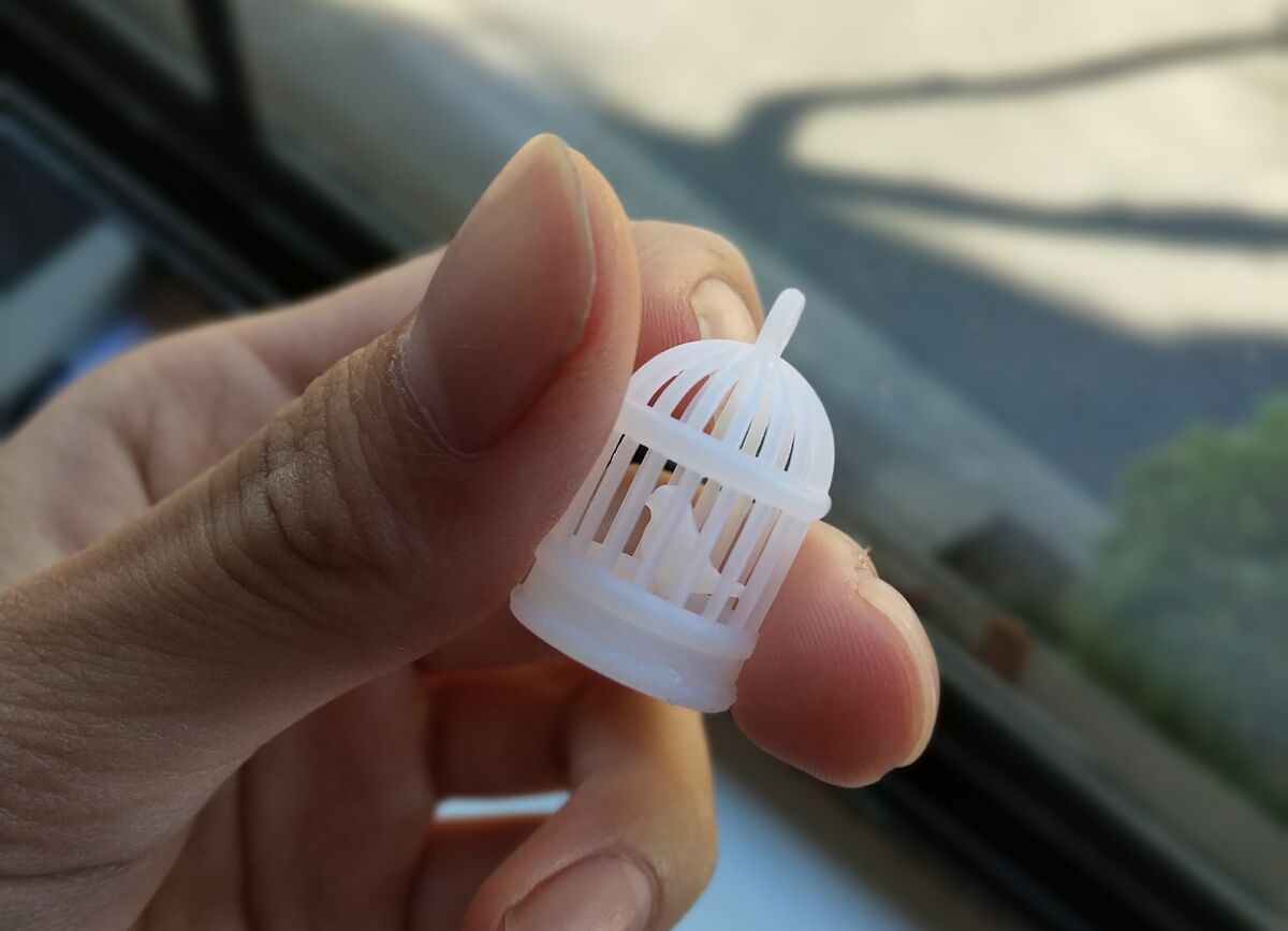 PINE 3D printing photo